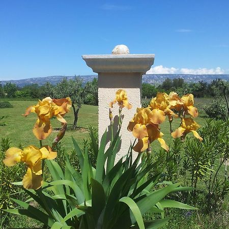Lamanderie En Provence Alleins Bagian luar foto