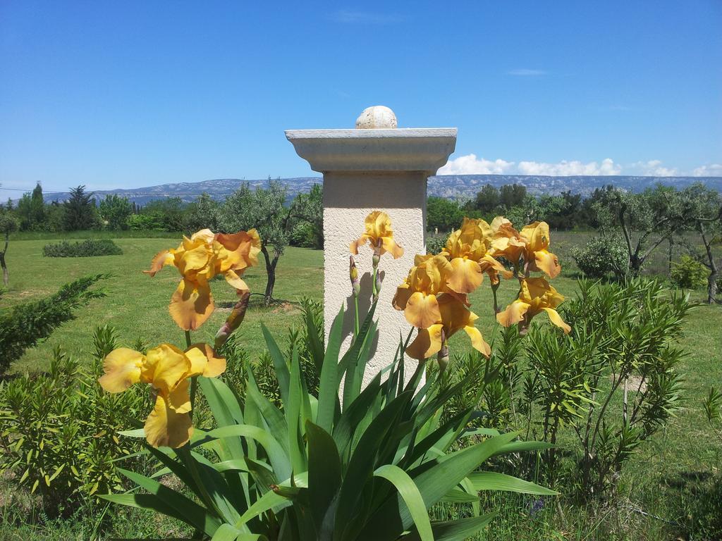 Lamanderie En Provence Alleins Bagian luar foto